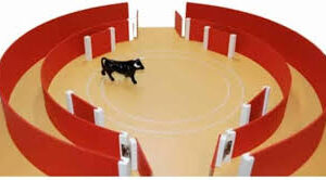 Conjunto Taurino: Plaza de Toros y Toriles